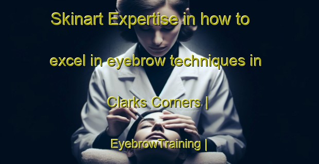 Skinart Expertise in how to excel in eyebrow techniques in Clarks Corners | EyebrowTraining | EyebrowClasses | SkinartTraining-Canada